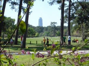 Memorial Park Houston